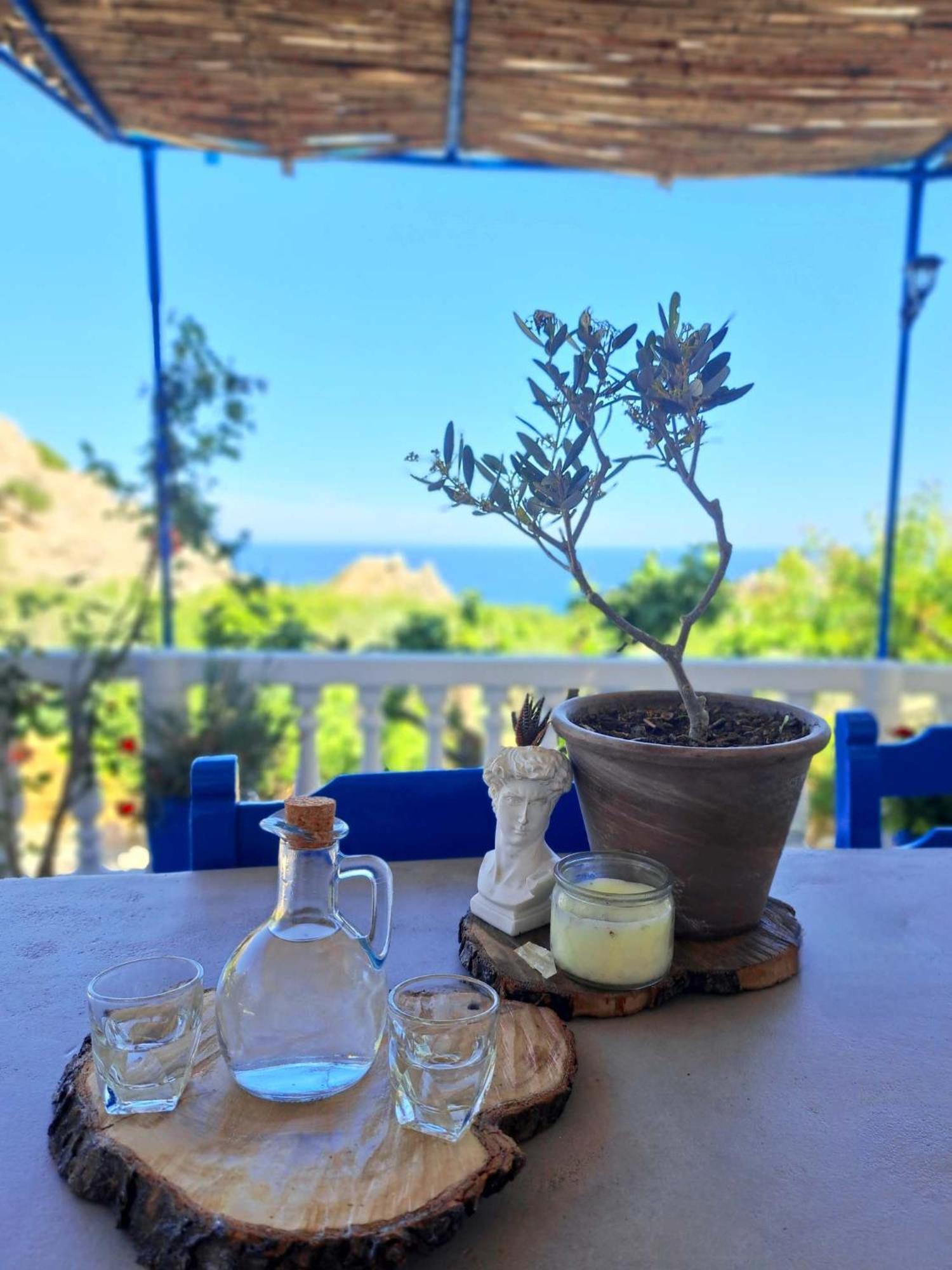 Aegean Serenity - Sea View Retreat Archangelos  Exterior photo